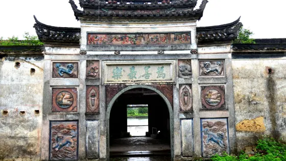 崇林世居