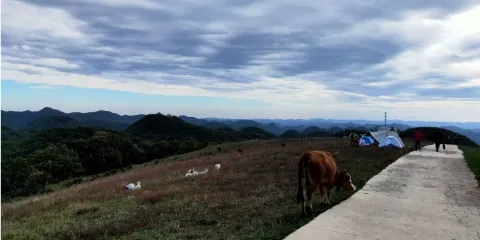 南頂草原-露營地