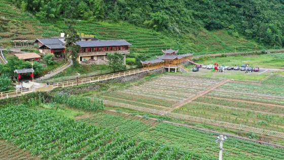 馬廠壩田園綜合體（荷文化鄉村旅遊區）