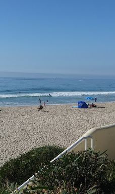 Salt Creek Beach-达纳点