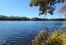 Raymond J. Martin Riverside Park景点图片