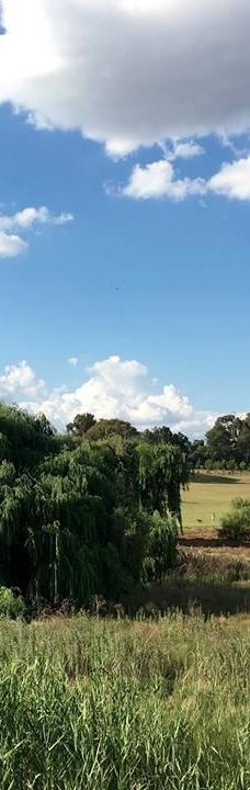 约翰内斯堡植物园-兰德堡