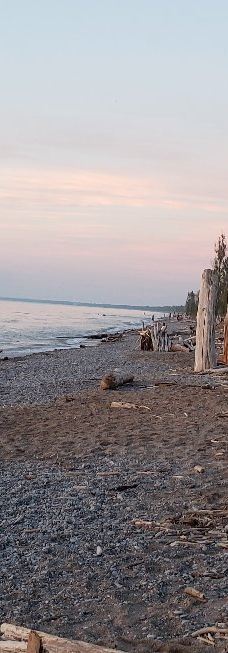 Pinery Provincial Park-大本德