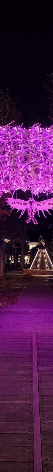 杰克逊鹿角公园-杰克逊