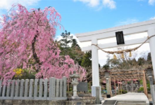 金蛇水神社景点图片