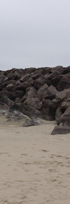 South Beach State Park-纽波特