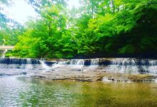 South Chagrin Reservation景点图片