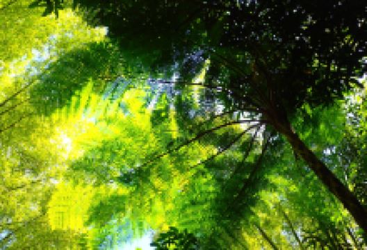 格兰德河景点图片