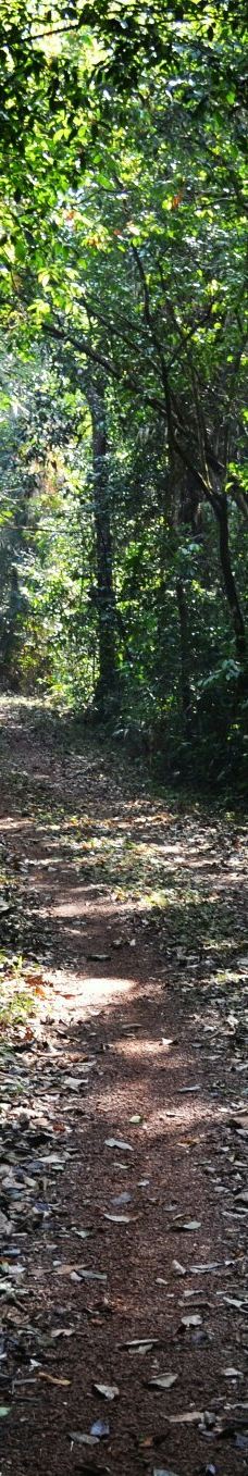 Cotigao保护区-南果阿县