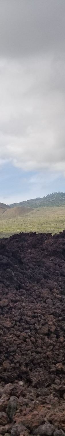 Lava Fields-茂宜县