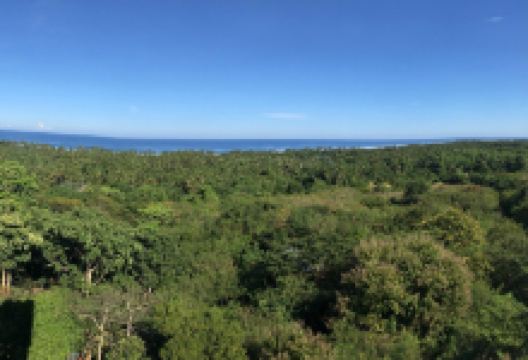 Enchanted Cave景点图片