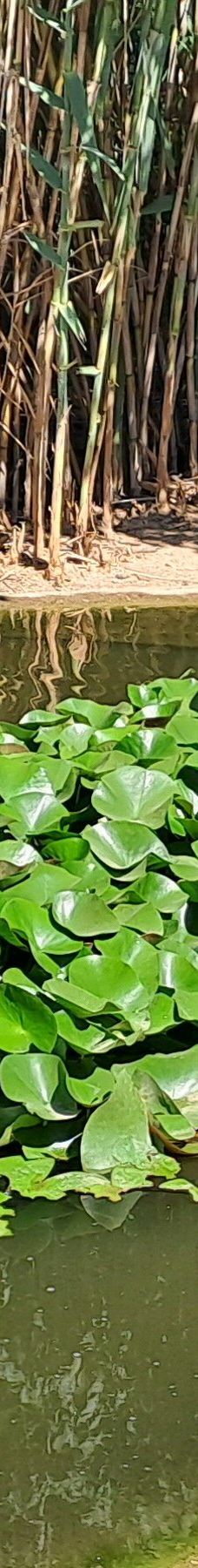 Butterfly Park Empuriabrava-Alt Emporda