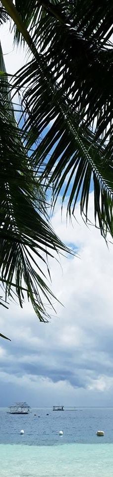 Tingko Beach-阿尔科伊