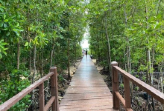 Tanjung Emas Park景点图片