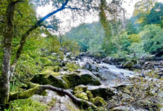 Rumbling Bridge Falls景点图片