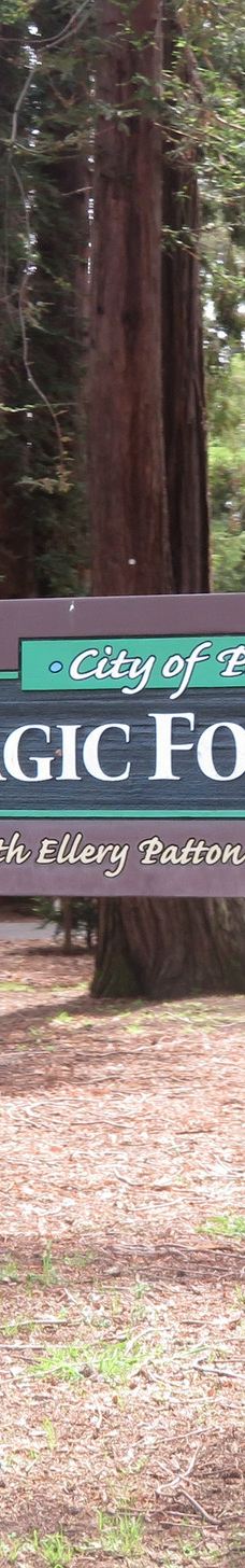 林科纳达公园-帕罗奥图