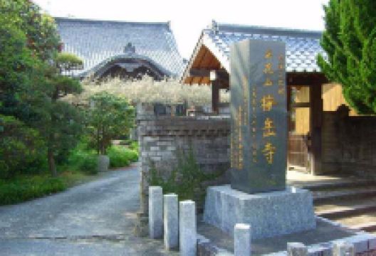 梅岳寺景点图片
