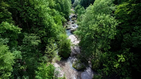 Kanjon Kokre