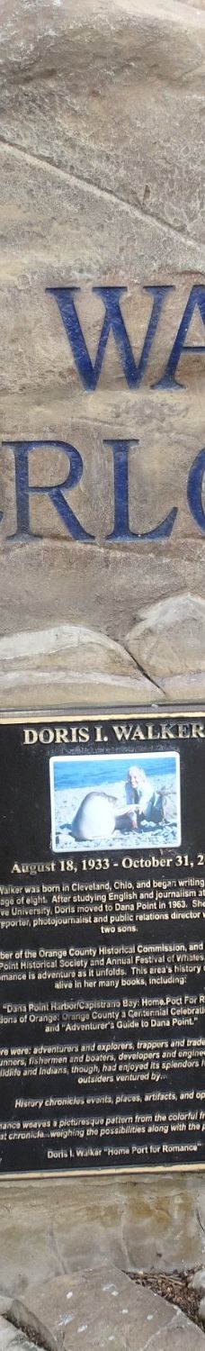 Doris Walker Overlook-达纳点