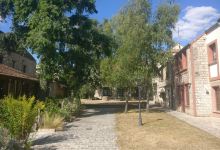 Foret De Barbizon景点图片