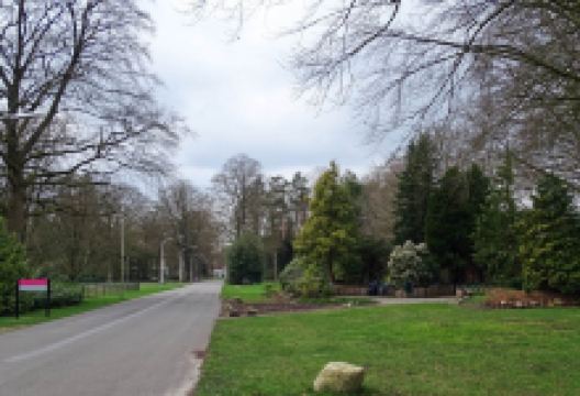 Dennenoord景点图片