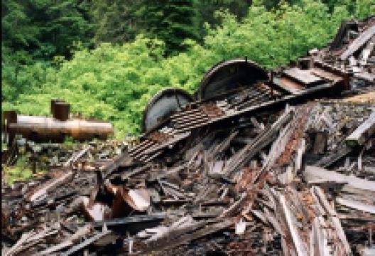 Bohemia Gold Mining Museum景点图片