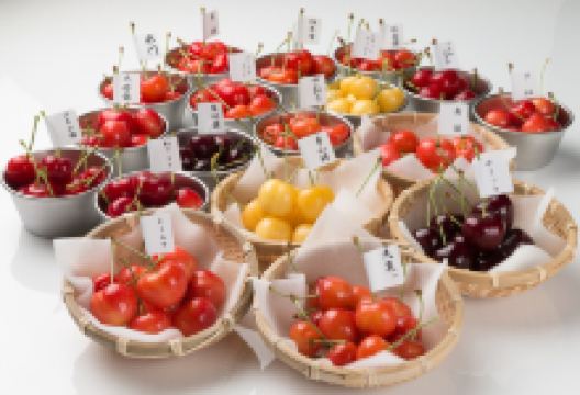 Ohashi Cherry Farm景点图片