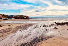 Pettycur Beach景点图片