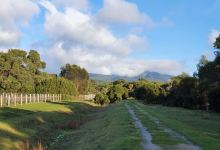 Unavale Vineyard景点图片