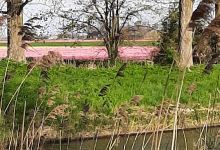 Plantjetuin.nl购物图片