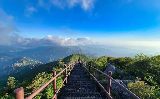 大青峰