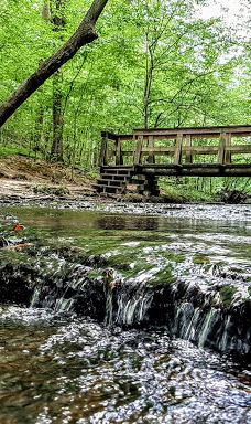 Stillhouse Hollow Falls-摩利县