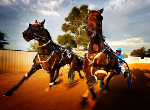 Penrith District A H & I Society T/A Club Paceway餐厅图片