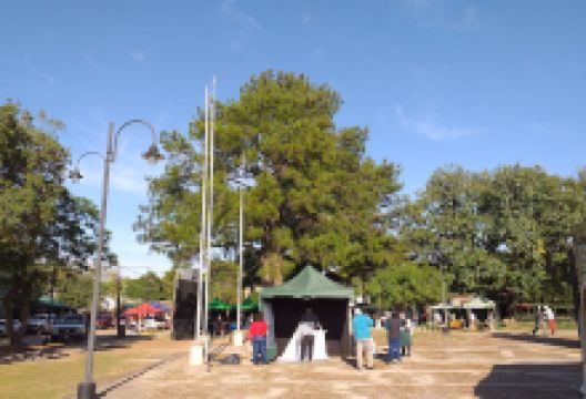 Plaza 25 de Mayo景点图片