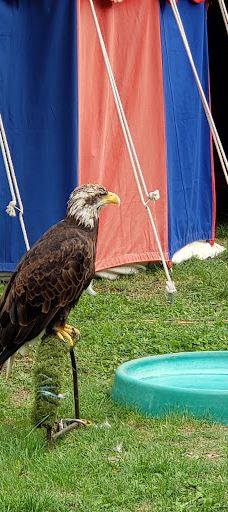 Gautier Municipal Park-索尔格河畔利勒