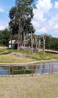 SAFARI LAGOI BINTAN-民丹岛