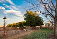 Parc del Reguer de Tornabous景点图片