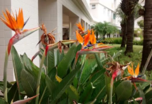 Village Square San Francisco景点图片