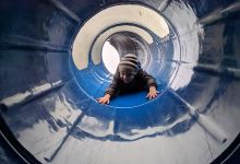 Hawk Ridge Park (Zachary’s Playground)景点图片