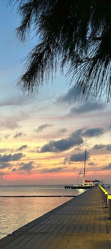 Red Sail Sports - Safehaven Marina-乔治市