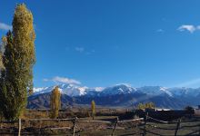 Tyup Library景点图片