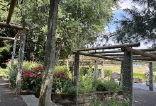 Le jardin de madame景点图片