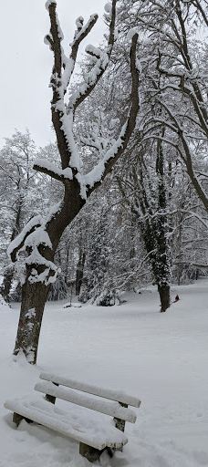 Aulendorf Park-奥伦多夫