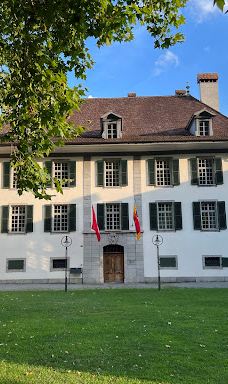 因特拉肯城堡-因特拉肯