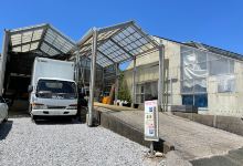 Nakamurayoran购物图片