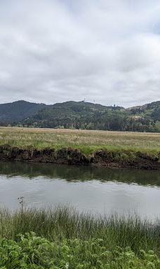 Siletz Bay National Wildlife Refuge-林肯县
