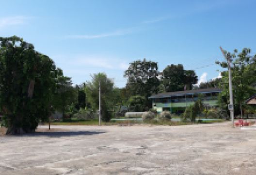 Wat Muang Kong景点图片