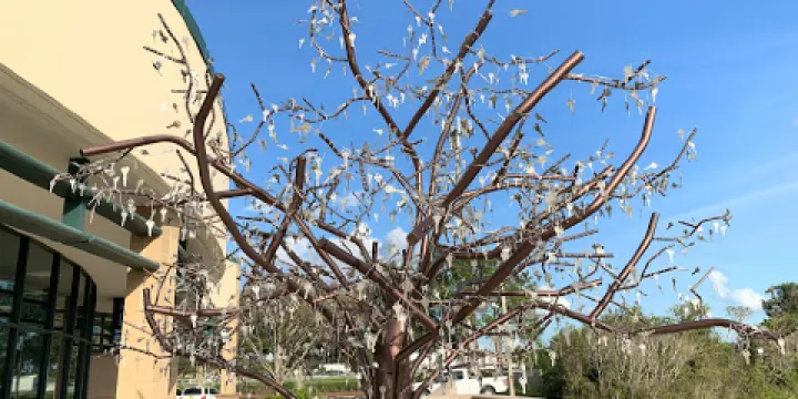 New Tampa Regional Library