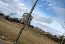 Houston Cole Library景点图片