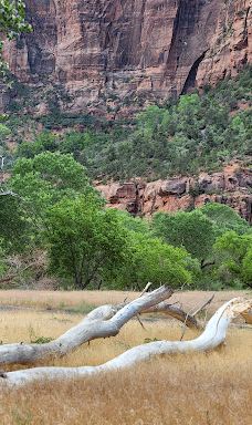 The Grotto Picnic Area-华盛顿县